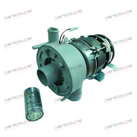 Model LA50SX<BR/>Power 0.63 HP<BR/>Power 0.47 kW<BR/>External inlet diameter 42 mm<BR/>External outlet diameter 38/24 mm<BR/>Current 2A<BR/>Capacitor 10µF<BR/>Speed 2800 rpm<BR/>Frequency 50 Hz<BR/>Power supply 230V LA50SX PUMP product photo