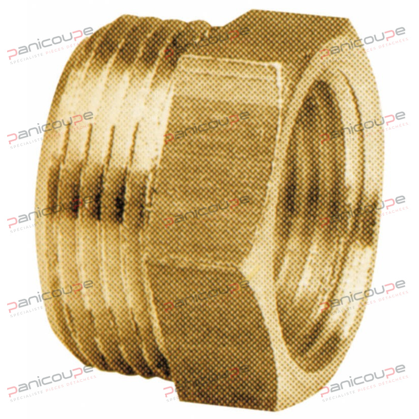 MALE-FEMALE REDUCED NIPPLE product photo