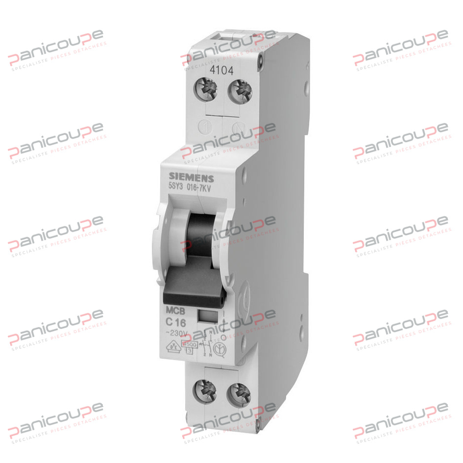 DISJONCTEURS PHASE-NEUTRE 230 V product photo