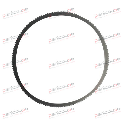 BERKEL BELT product photo