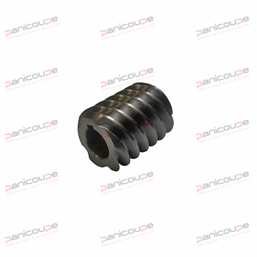 WORM SCREW MOTOR BOSTON MAX product photo