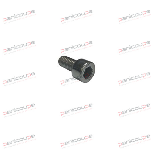 BTR SCREW M6X12 STAINLESS STEEL PP FASTENER product photo