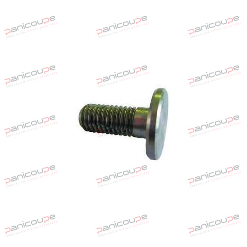 RGV PLATE ARM CENTERING SCREW product photo