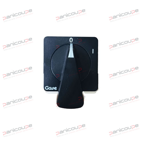 SWITCH GAVE 63A product photo