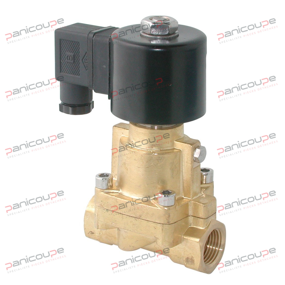1/2-INCH STEAM BRASS SOLENOID VALVE product photo