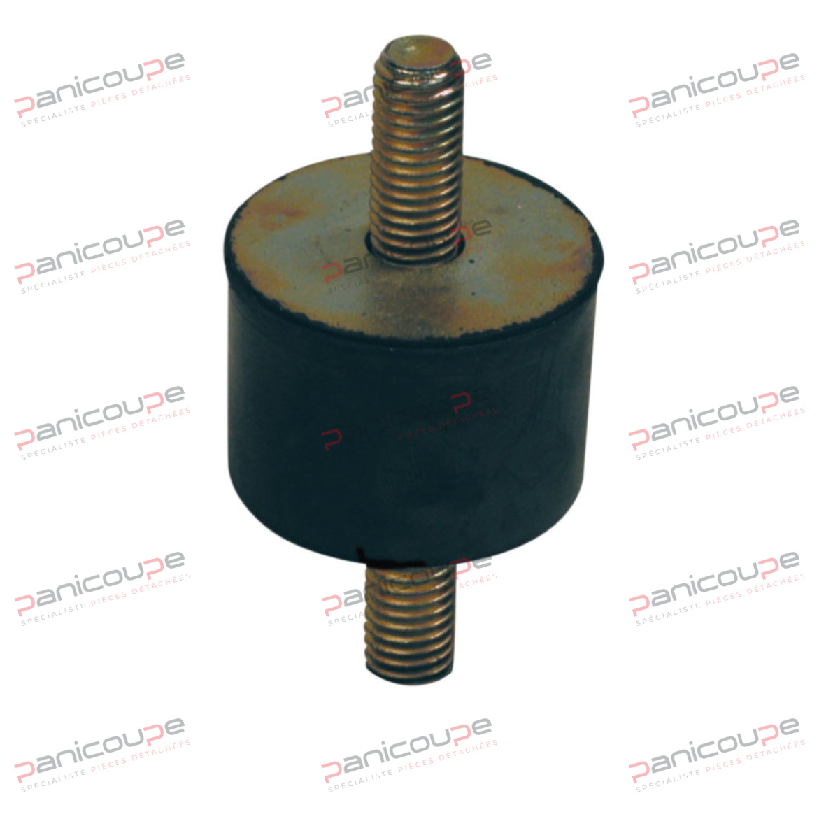 PIED ANTI-VIBRATOIRE &Agrave; VISSER &Agrave; 2 TIGES product photo