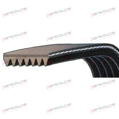 POLY V STRIP BELTS F73 product photo