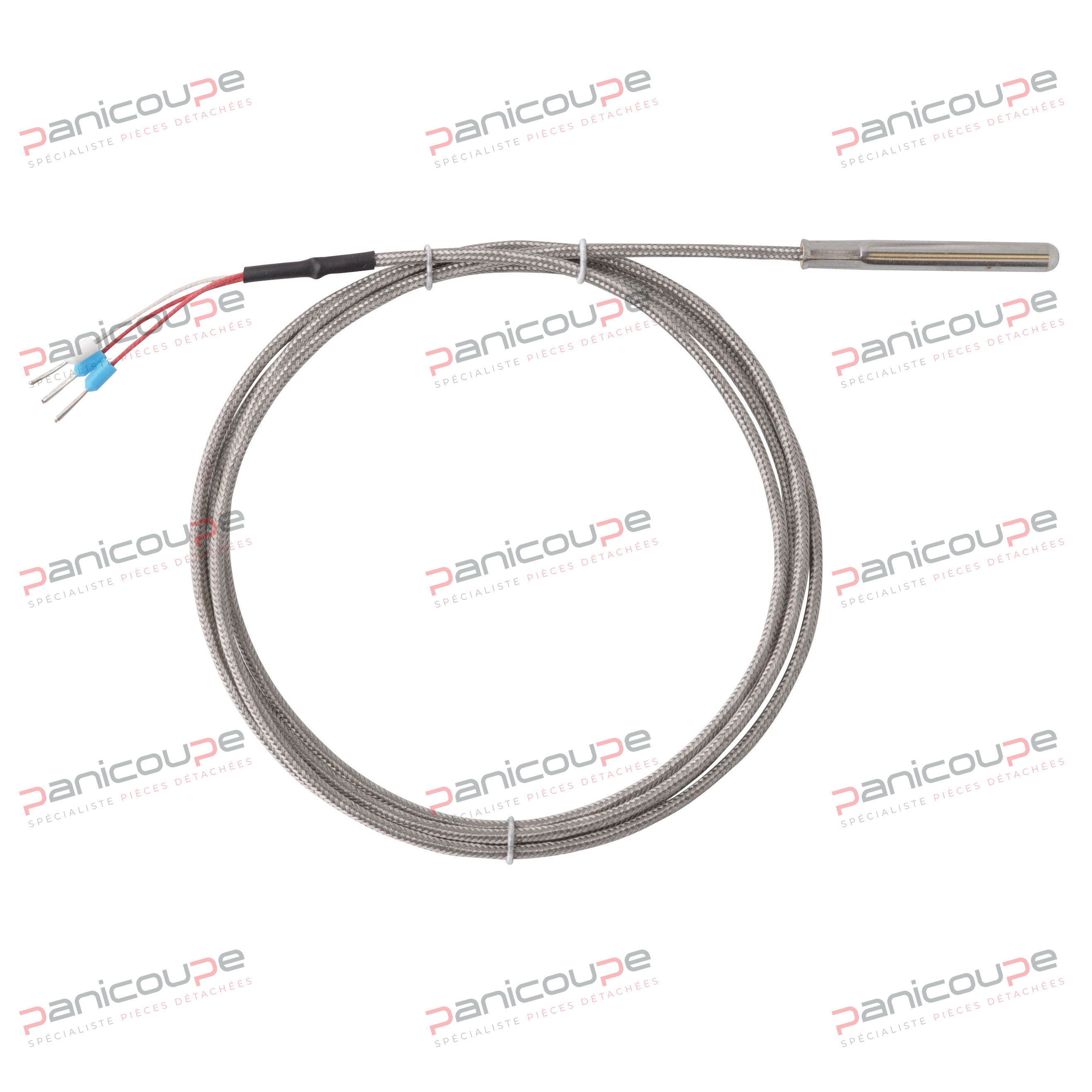 PT100 PROBE (3 WIRES) product photo