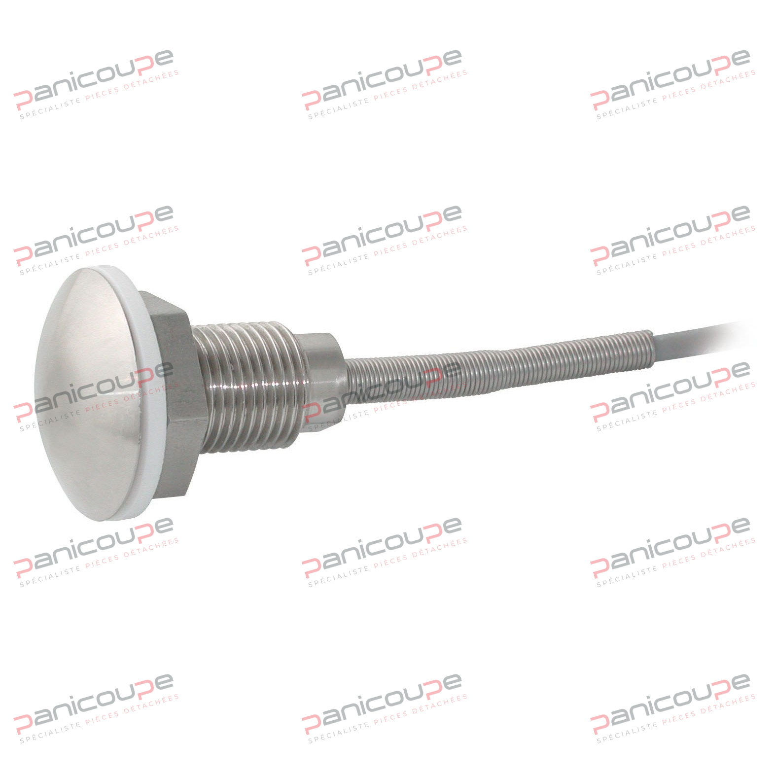 PT100 PROBE WITH MUSHROOM HEAD product photo