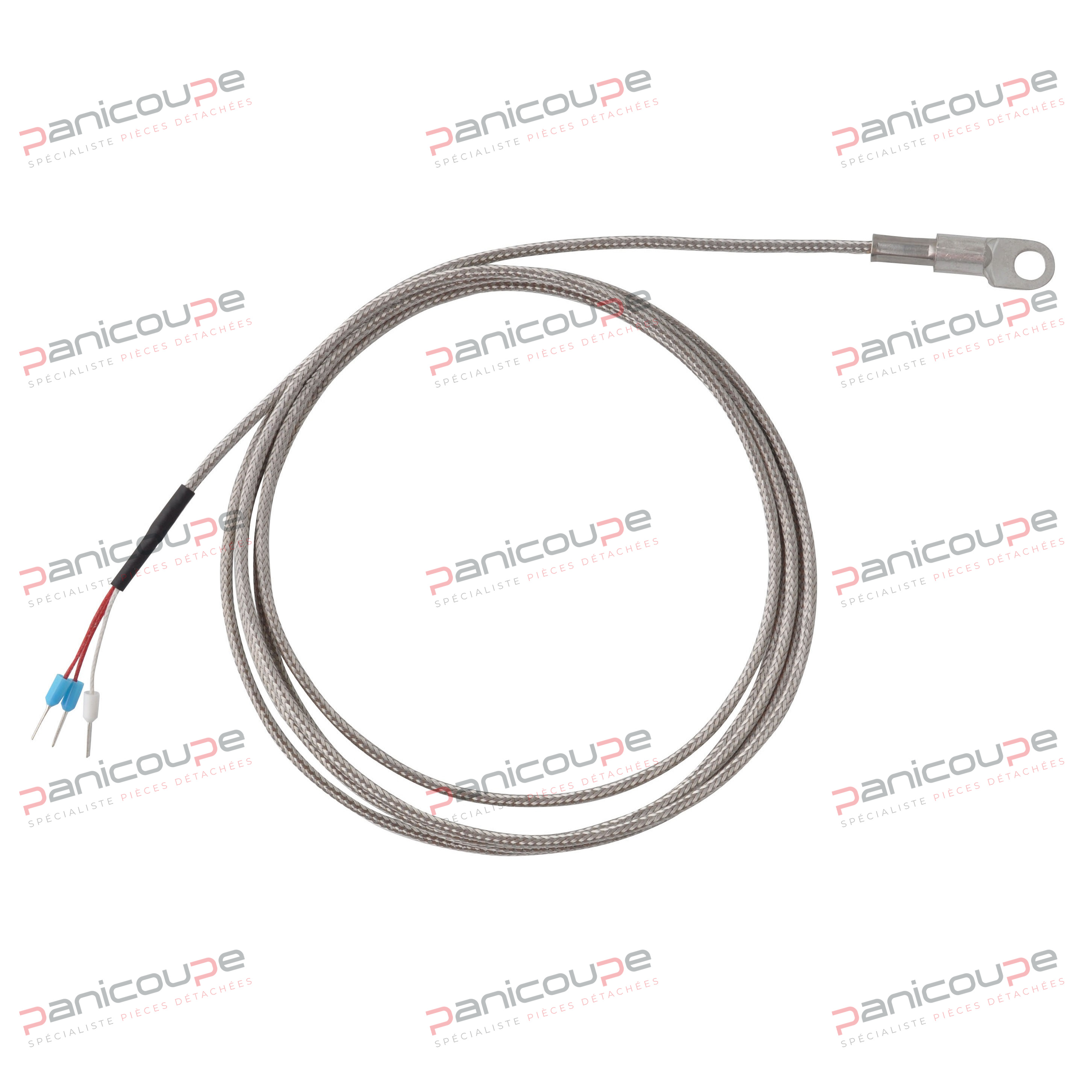 PT100 PROBE (3 WIRES) WITH TIP product photo