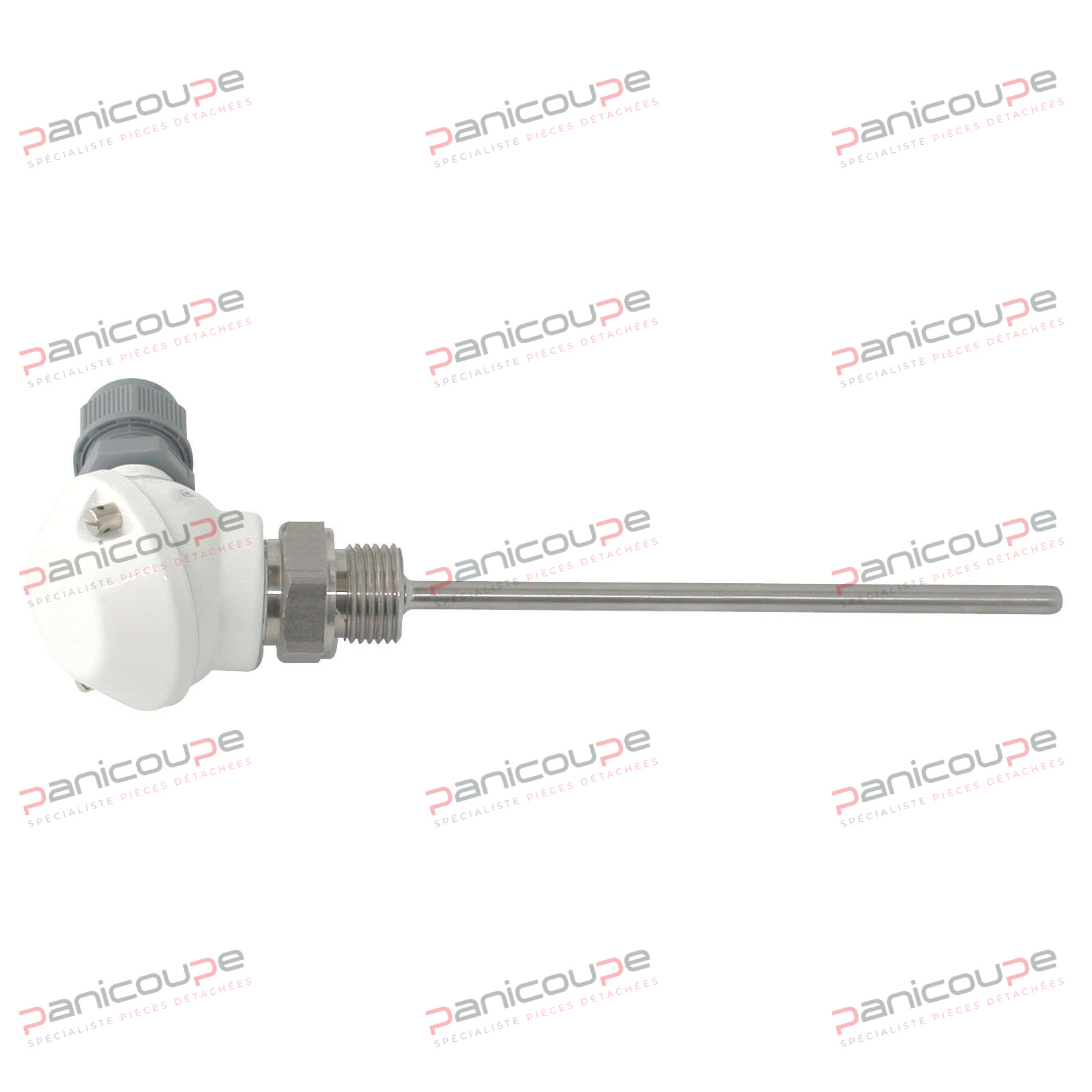 PT100 PROBE WITH CONNECTION HEAD product photo