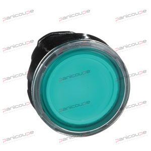 ILLUMINATED PUSHBUTTON HEAD product photo