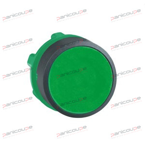 NON-ILLUMINATED PUSHBUTTON HEAD - FLUSH product photo