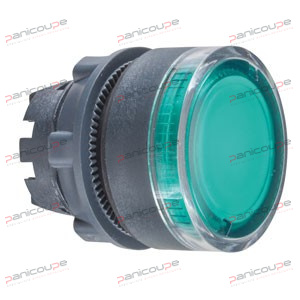 ILLUMINATED FLUSH PUSHBUTTON HEAD product photo
