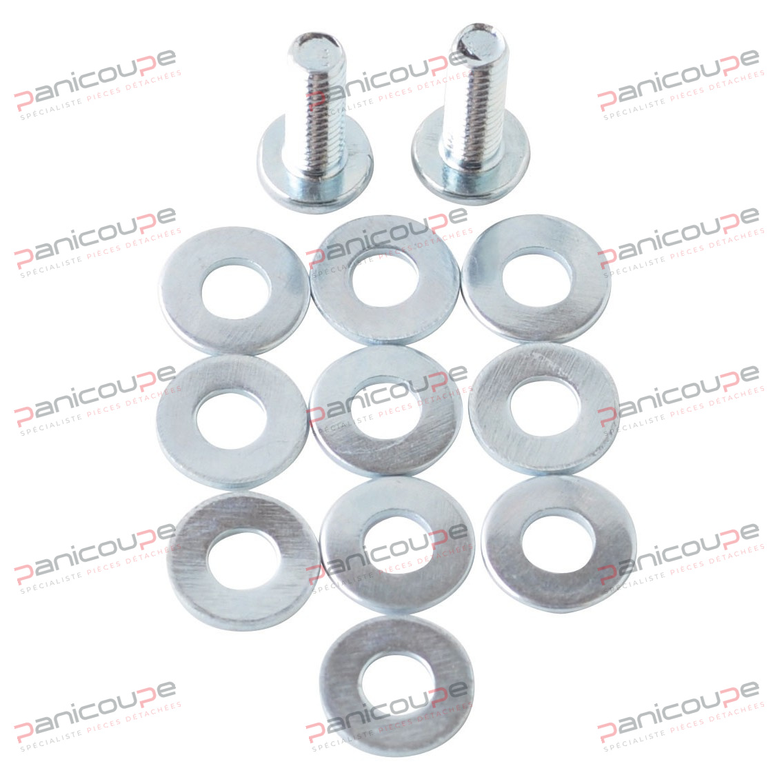 BAG OF SCREWS FOR MI2 product photo