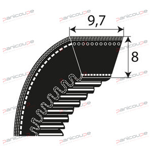 COURROIES CRANTEES SERIE XPZ product photo