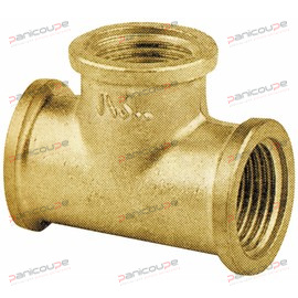 TE FEMELLE-FEMELLE-FEMELLE product photo