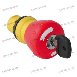 MUSHROOM BUTTON KEY RELEASE product photo