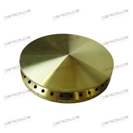 CAPS &Oslash; 100 MM FOR VERTICAL FLAMES product photo