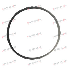 BERKEL BELT product photo