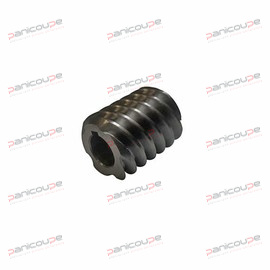 WORM SCREW MOTOR BOSTON MAX product photo