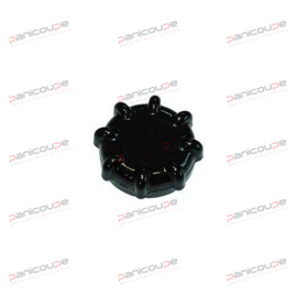 BUTTON CLAMP CAM LOCK PL product photo