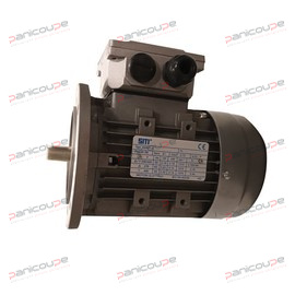 THREE-PHASE MOTOR 120W B5 product photo
