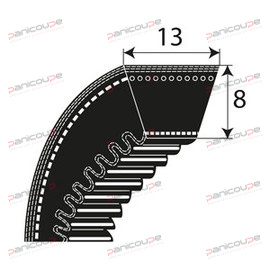 COURROIES CRANTEES SERIE AX product photo