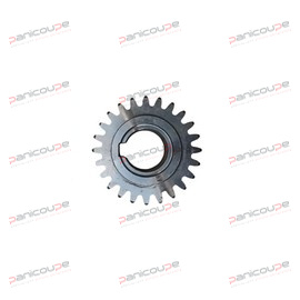24-TOOTH SERRATED WHEEL Z.24 MOD 2,5 IN STEEL product photo