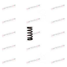 PUSH SPRING product photo