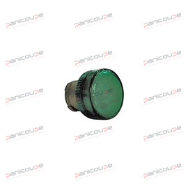 GREEN LIGHT HEAD product photo