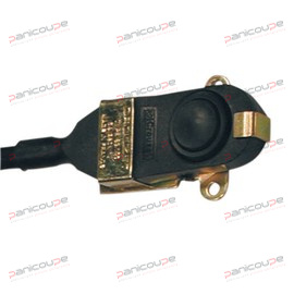SEALED MICROSWITCH product photo