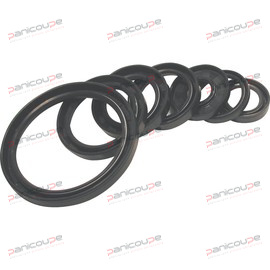 JOINT &Agrave; LEVRE product photo