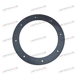 FLANGE SEAL FOR PLLA90LBA2 AND LAFERT AM905 PUMPS product photo