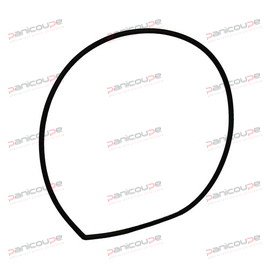 SEAL FOR PUMP FLANGE product photo