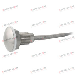 PT100 PROBE WITH MUSHROOM HEAD product photo