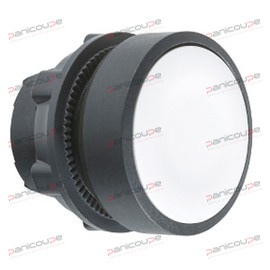 NON-ILLUMINATED PUSHBUTTON HEAD - FLUSH product photo