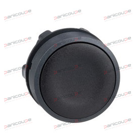 NON-ILLUMINATED PUSHBUTTON HEAD - FLUSH product photo