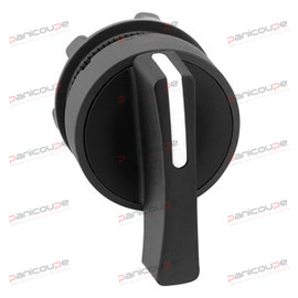 ILLUMINATED PUSHBUTTON HEAD product photo