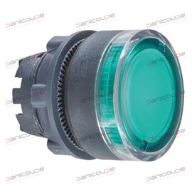 ILLUMINATED FLUSH PUSHBUTTON HEAD product photo