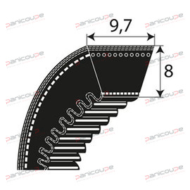 COURROIES CRANTEES SERIE XPZ product photo
