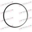 BERKEL BELT product photo
