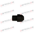 UNION SIMPLE M 1/4 BSP CON X 10 MM product photo