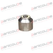 INJECTOR 0.51 MM product photo