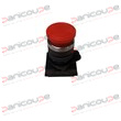 MUSHROOM BUTTON product photo