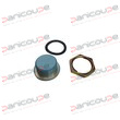 BLANKING PLUG product photo