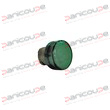 GREEN LIGHT HEAD product photo