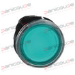 ILLUMINATED PUSHBUTTON HEAD product photo